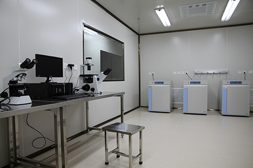 实验室形式与研究室的布局形式有哪些
